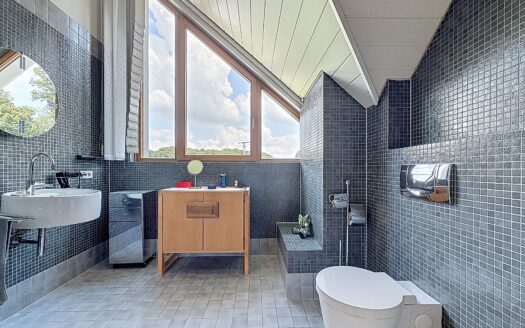 — MAISON D’EXCEPTION À VENDRE À CLEMENCY —