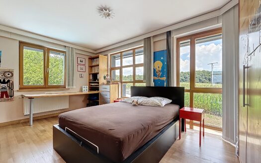 — MAISON D’EXCEPTION À VENDRE À CLEMENCY —