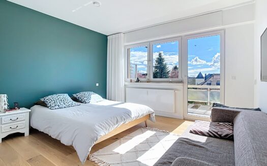 — MAGNIFIQUE APPARTEMENT À VENDRE À PONTPIERRE —