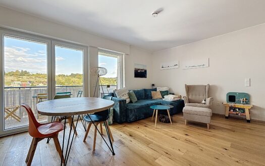 — TRÈS BEAU DUPLEX À VENDRE À DUDELANGE —