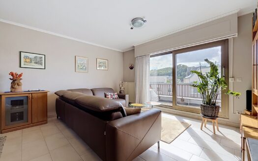 — BEL APPARTEMENT À VENDRE À SCHIFFLANGE —