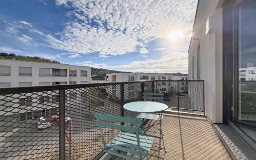 — TRÈS BEL APPARTEMENT À VENDRE À SCHIFFLANGE –